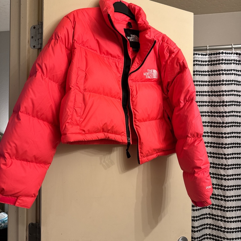 The North Face Vibrant Pink Jacket